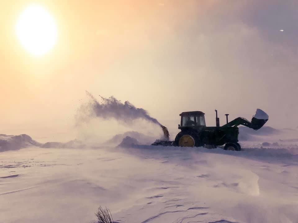 snowdrift
